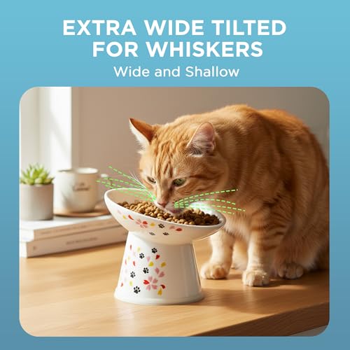 Necoichi Raised Cat Food Bowl, 15° Tilted (Sakura Floral, Extra Wide) - color: Sakura, size: Large Extra Wide Tilted