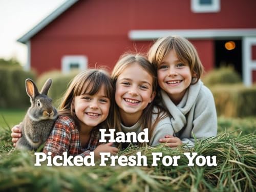 Blue Mountain Hay Timothy Hay Easy Flake Feed for Small Pets, 10lb | Easy Flake Timothy Hay, High Fiber Daily Forage, Soft Leafy Texture, Supports Digestion and Dental Care, Natural Nutrition - size: 10 Pound (Pack of 1)