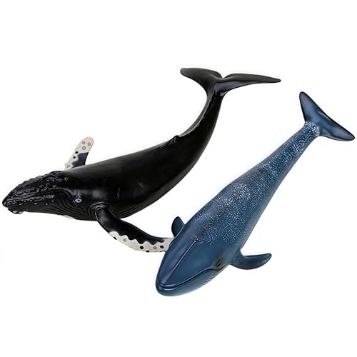 Gemini&Genius Humpback Whale Action Figure, Sea Animal Orca Blackfish Toys | Soft Rubber Ocean Shark, Great for Kids Bath Toys Swimming Toys, Beach Toys, Perfect Cake Coppers - color: Humpback Whale