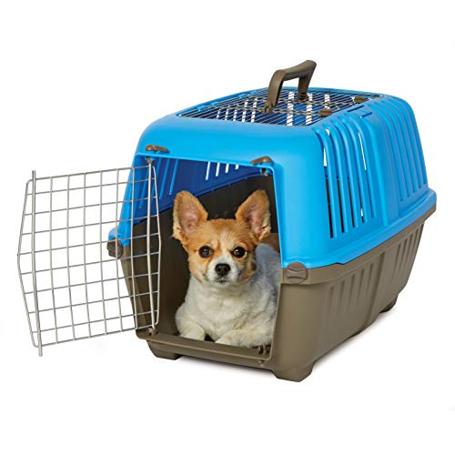 Spree by Midwest 24-Inch Travel Carrier, Blue, Fits Pets up to 25 lbs | Hard-Sided Pet Carrier, 2-Door, Ventilated Design, Locking Tabs, Easy Assembly - color: Blue