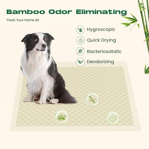 Bamboo Small Puppy Pads Pee Pads for Dogs 22"x22" 30 Count | Training Pads Deodorizing Leakproof Quick Drying Dog Pee Pads Super Absorbent Disposable Puppies - size: 22 x 22 inches (30 Count)