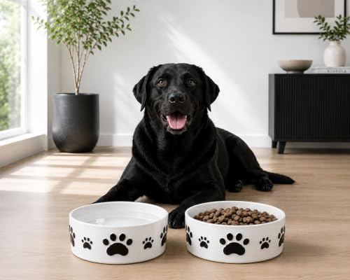 Ceramic Dog Bowls Set, 7.5''×3'', with Anti-Slip Rings, 5 Cups Capacity - size: 7.5 in