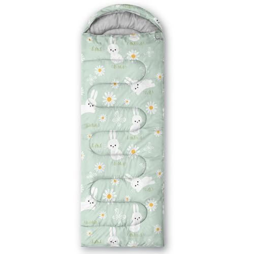 AILONEN Cartoon Car Sleeping Bags,Lightweight & Waterproof,3 Season Warm & Cool Weather,Cute Stars Printed Vehicles Transportation Sleeping Bags for Boys,Kids,Adults Travelling,Outdoors - color: Rabbit1