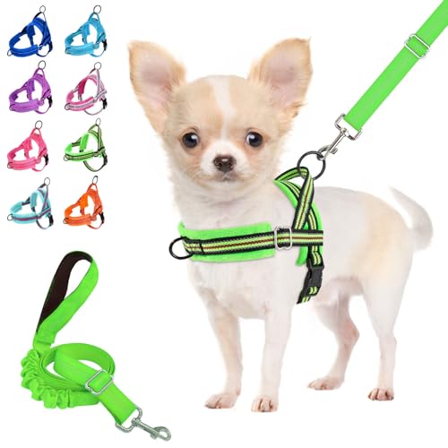 Lukovee Soft Padded Small Dog Harness (X-Small, Green) with 4ft Lightweight Leash, Adjustable Reflective Vest for Walking, Running, Hiking, Training | Both Neck & Chest Adjustable, Reflective, Puppy Harness with 4ft Lightweight Anti-Twist Dog Leash for Sm