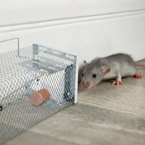2 Pcs Humane Rat Trap 11.02 x 5.71 x 4.53 in Live Rat Cage Trap | for Indoor and Outdoor Small Rodent Animal Mouse Vole Hamsters Live Cage, Safe Control No Kill, Catch and Release