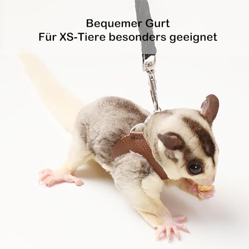 3 Pack Sugar Glider Harness and Leash Set Small Animal Training Walking Vest for Squirrel Hamster Rat-Brown - color: Brown