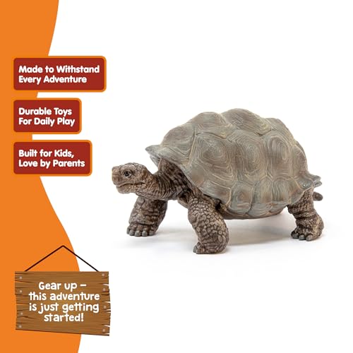 Schleich Wild Life - 3" Galapagos Giant Tortoise Figure - Realistic Turtle Toy for Boys and Girls - Wild Animal Educational Toy - Zoo Wildlife Figurine for Toddlers and Kids Ages 3+ | 13337