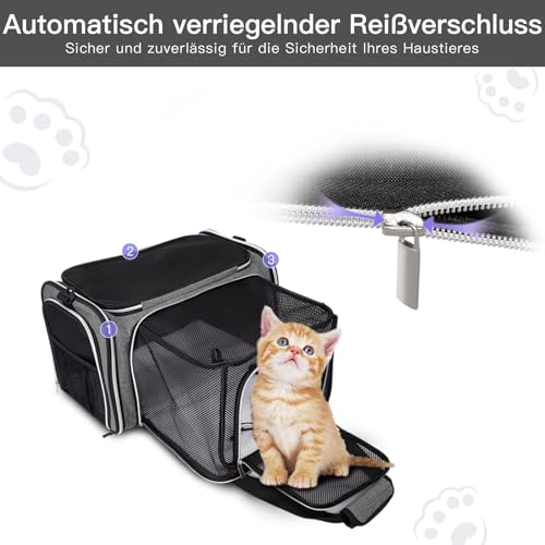 BAGLHER Expandable Cat Carrier with Travel Litter Box, Pet Travel 5 Sides Open Doors 3 Sides, Leak-Proof and Collapsible, for Car, Airplane Trip, Grey - color: Grey, size: 12.6"L x 6.9"W x 16.5"H