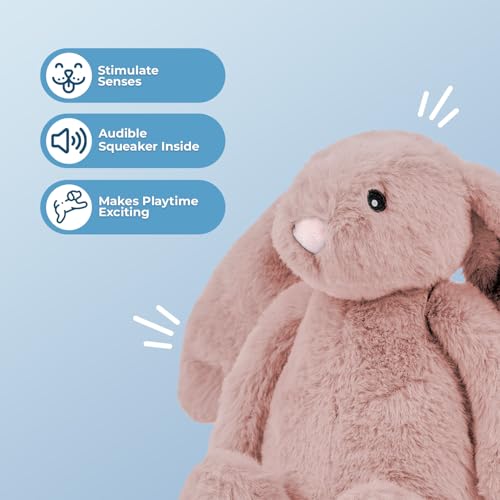 Best Pet Supplies Bunny Buddy Squeaky Plush Dog Toy - Mauve, Small | Soft Plush, Squeaks & Crinkles, Perfect for Moderate Chewers, Toss & Fetch Play, Stress & Anxiety Reliever, Ideal Gift Toy - color: Bunny (Mauve), size: Small