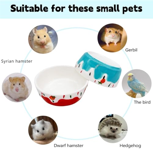 4 Pack Hamster Food Bowl Small Animals Ceramic Food Water Bowl Prevent Tipping Moving for Gerbil Chinchilla Hedgehog Rat - color: Pink + Red+Purple + Blue
