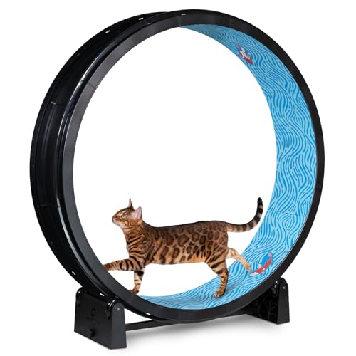 One Fast Cat - Cat Exercise Wheel - Made in the USA - 48" Diameter - Gen. 7 | Black with Koi Pond Foam Traction Pads and Solid Black Inline Wheels - color: Black Wheel / Koi Pond Foam / Black Inline