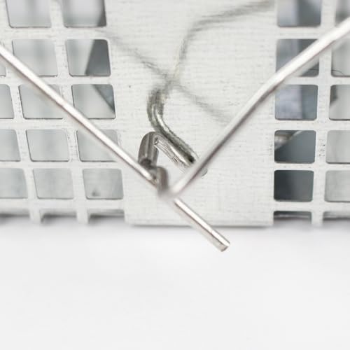 Havahart X-Small Animal Trap, 2-Door Humane Trap for Mice, Voles, Shrews | Humane Catch & Release Trap for Moles & Small Rodents, Galvanized Steel Mesh Construction, Weather-Resistant, Mouse Traps