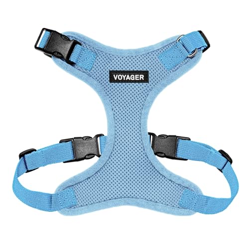 Voyager Step-in Lock Dog Harness - Baby Blue, Medium | 17 - 21" in Chest, Adjustable, Breathable Air Mesh, Lightweight for Daily Walks, Strong Clips, Heavy Duty D-Ring - color: Harness (Baby Blue), size: M (Chest: 17 - 21")