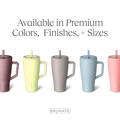 BrüMate Era 30 oz Tumbler with Handle & Straw | 100% Leakproof Insulated Water Bottle Tumbler with Lid & Flexible SoftSip Straw | Made of Stainless Steel | Cup Holder Friendly | 30oz (Glacier) - color: Glacier, size: 30oz