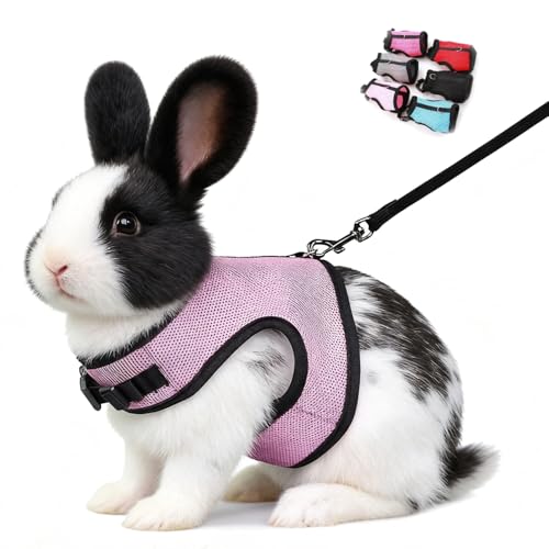 Bunny Leash and Harness Escape Proof Soft Rabbit Harnesses Mesh Vest Pink M | Adjustable Buckle for Ferret Guinea Pig Hamster Squirrel Rat Walking Small Animal Pets - color: Pink, size: M (Neck:5.5"-7" Chest:6.2"-8.5")