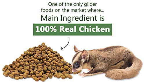 Exotic Nutrition Glider Essential 40 lb | Coconut Flavor | Zero Fillers - size: 1 Count (Pack of 1)