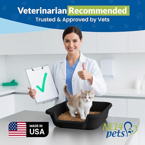 KittyGohere Senior Cat Litter Box Small with Scoop, 2 Pack Black | Open Top Low Entrance Kitty Litter Box With With Long-handle Jumbo Scoop, Lightweight & Durable Litters Box, Made in USA - color: Black, size: Small(2 Pack) with Scoop