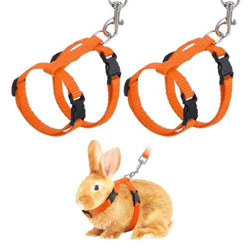 Rabbit Harness and Leash, Escape Proof Bunny Cat Leash Small Animal Harness Soft Adjustable Buckle(2Pcs, Orange) for Bunny Kitten Cats Puppies Walking Hiking Training - color: Orange