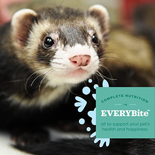 Oxbow Essentials Ferret Food, Rich in Animal-Based Protein & Fat, 4 lb | Ferret, High Protein & Fat, Animal-Based Protein, Ferret Kibble, Made in USA, No Corn, Peas Or Potatoes, Vet Recommended