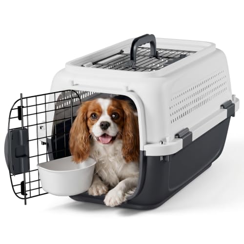 Magshion 22 Inch Hard-Sided Dog Cat Carrier, Grey | Top&Front Door Access, Plastic Dog Kennel for Traveling, Durable Handle, Ventilation, Detachable Pet Bowl, For Pet Up 26 lbs - size: 22.0"L x 14.5"W x 15.0"H