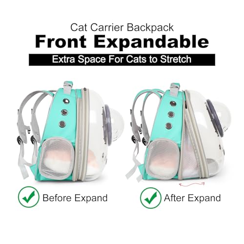 Front Extension Cat Backpack Carrier, Pet Travel Backpack for Kitten and Small Dogs, Clear Bubble Window Space Capsule Astronaut Liked Portable Vet Visit Book Bag Airline Approved - color: Green