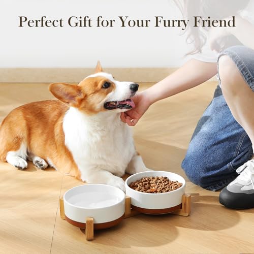 MALACASA Ceramic Dog Bowls Set with Wood Stand, 3.5 Cups Pet Bowls for Medium Dogs with Non-Slip Base, Large Puppies, Cats, Retrievers, ect.Pet Food & Water Basic Bowls Set, Weighted Glaze Matte.34 OZ - color: Vanilla White（2 PCS with Stand）, size: M-3.5