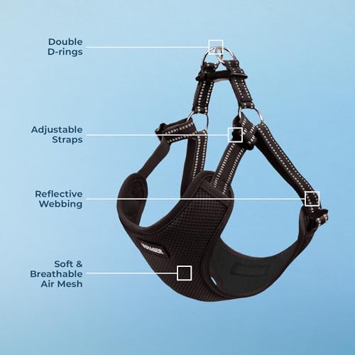 Voyager Step-in Flex Adjustable Dog Harness - Black, Large | 20 - 25" in Chest, Fully Adjustable, Reflective Bands, All Weather Breathable Air Mesh, Lightweight, Fast Drying - color: Harness (Black), size: L