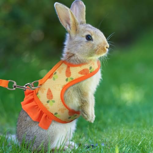 Rabbit Harness and Leash Set,Cute Bunny Harness Small Pet Mesh Vest Blue M | Bunny Rabbit Harness Leash Set Guinea Pig Mesh Vest Escape Proof Walking Puppy Small Animal Pets Rat Squirrel Ferret M - color: Blue, size: M(Juvenile Rabbit)4 months old