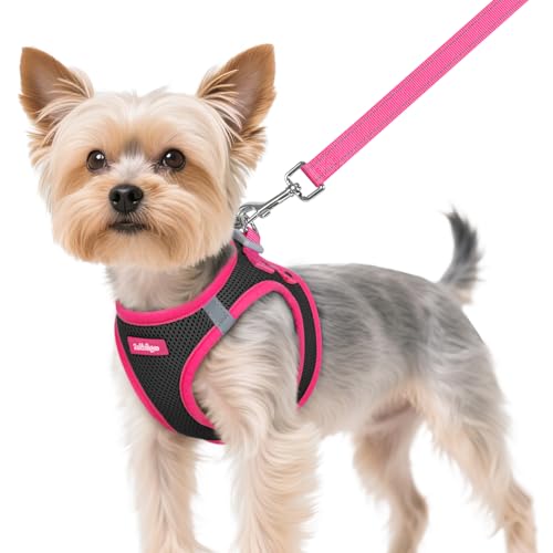rabbitgoo Dog Harness Small Sized and Leash Set, Step in Soft Vest | Breathable Mesh, Easy Wear with Hook & Loop, Light and Reflective for Walking, Multi-colored, Black & Rose Red, XS - color: Black & Rose Red, size: XS (Chest: 13.3"-15.5")