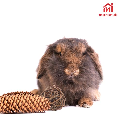 9pcs Willow Balls For Rabbits Bunny, Rattan Chew Toys, 2.1-2.3" Natural Branch Wicker Activity Treat Busy for Chinchillas Guinea Pigs Hamsters Gerbils Parrot Bird Small Animal Rats Bunnies Pet Gerbil
