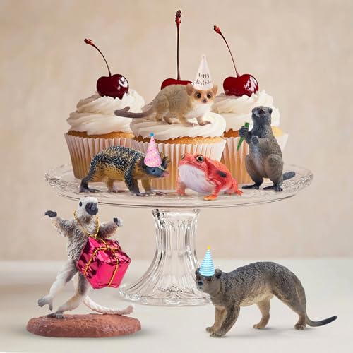 Toymany 12PCS Madagascar Animal Figurines Set, Realistic Lemur Jungle Animal Toys Set Includes Chameleon, Tortoise,Gecko,Fossa,Sifaka -Educational Forest Animals Figure Toy Collection for Kids Adults - style: Jungle Animal-1