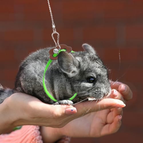 2 Pack Adjustable Hamster Leash Harness for Harness for Ferret Baby Rabbit Hamster Rat Mouse Leash Lead with Bell (Green) - color: Green