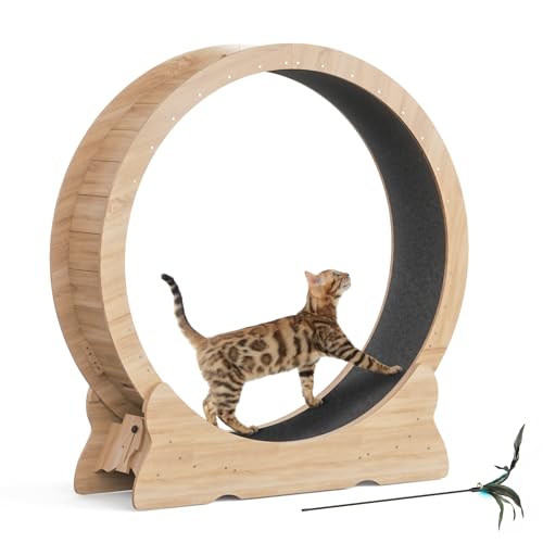 Mondeer 46'' Cat Wheel with Carpet Track and Teaser, Natural Wood | Cat Exercise Wheel, 46'' XL Treadmill with Carpeted Runway, Removable Carpet and Teaser, for Indoor Cats Running and Walking. - color: Natural Wood, size: 43.3