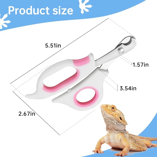 Bearded Dragon Nail Clippers with Precise Angled Edges | Stainless Steel Bearded Dragon Toe Nail Clippers (Pinky White) - color: Pinky White
