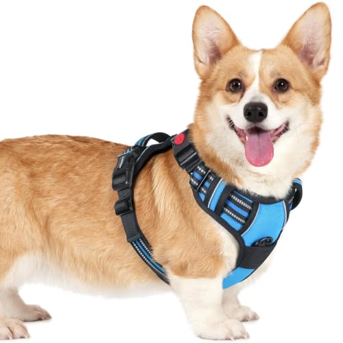 rabbitgoo Dog Harness Small Sized, Updated Easy On & Off with 3 Buckles | No Pull No Choke, Walking with 2 Clips and Handle, Adjustable Soft Reflective, Sky Blue, Small - color: Sky Blue, size: Small