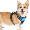 rabbitgoo Dog Harness Small Sized, Updated Easy On & Off with 3 Buckles | No Pull No Choke, Walking with 2 Clips and Handle, Adjustable Soft Reflective, Sky Blue, Small - color: Sky Blue, size: Small