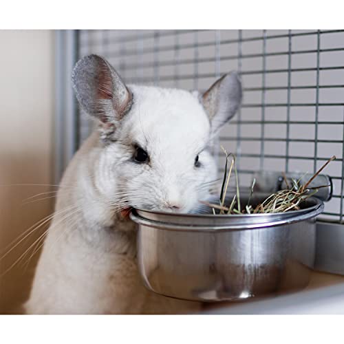 Stainless Steel Cup w/Holder - Durable Metal Mountable Food & Water Dish - Sugar Gliders, Hedgehogs, Chinchillas, Rats, Ferrets, Guinea Pigs, Rabbits, Squirrels, Birds (10 oz., Silver) - size: 10 oz.