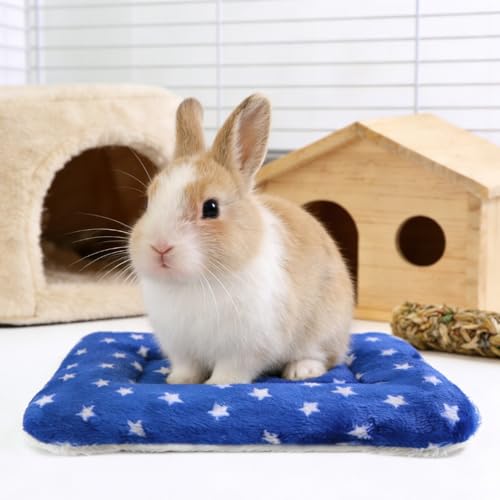 Guinea Pig Bed, 2 Pack (12x10 Inch) Soft Plush Small Animal Bed Mat, Washable Bedding Blanket Sleeping Warm Pad for Bunny, Rat, Ferret, Chinchilla - color: Royal Blue