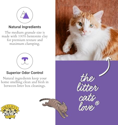 Dr. Elsey's Clean Tracks Clumping Clay Cat Litter, 20 lbs. - size: 20 pounds