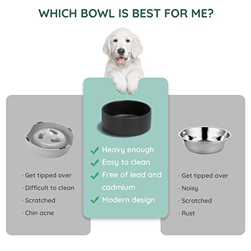 SPUNKYJUNKY 13.5OZ Ceramic Dog and Cat Bowl, Modern Cute Weighted Food Water Bowl for Replacement Black (1 Pack) - color: Black, size: 1.7 CUPS