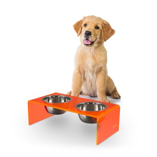 DBL2000E Keaton 5" Small/Medium Modern Acrylic Rectangular Elevated Pet Feeder with 20oz 2-Stainless Steel Bowls, Pink/Chrome - color: Pink/Chrome, size: 20 Ounces (5" Cups 2-Pack)