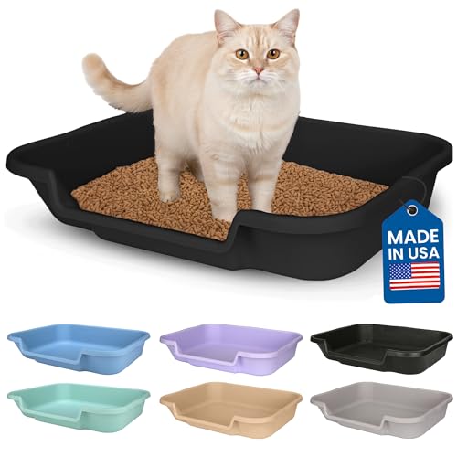 KittyGoHere Senior Cat Litter Box, Large Litter pan, Open Top Low Entrance Kitty Litter Box, Lightweight Low Entry Litters Box, Durable, Made in USA (Black) - color: Black, size: Large