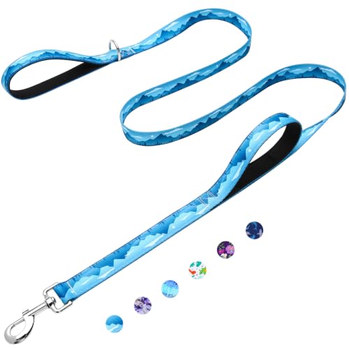4ft Dog Leash with Two Padded Handles, Heavy Duty Strong Nylon Pet Leash with Soft Neoprene Handle for Small Medium Large Dogs, Blue Sunset - color: Blue Sunset, size: 1 in x 4 ft