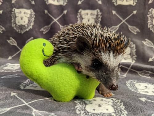 Billy the Bronto Dino Chibi Kawaii Mint Stuffed Fleece Hedgehog Rat Guinea Pig Degus Chinchilla Enrichment Toy Small Animal Photo Prop Cage Buddy Mint Stick Alternative
