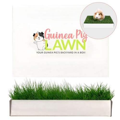 Guinea Pig Pee Pads, Fresh Grass Mat, Hamster Small Pet Bed 12x9 | Hydroponically grown grass with 2x the grazing area - great for guinea pigs, hamsters, hedgehogs, and multi-pet households - size: 12x9 Inch (Pack of 1)