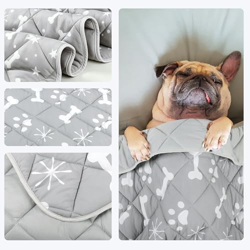 wegreeco Pet Dog Cooling Mat for Cats, Lightweight Bed Outdoor Cooling Blanket for Dogs and Cats, Small Medium Large Puppy Cool Pad for Dogs, Small Bones Medium - color: Small Bones, size: Medium