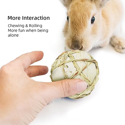 andwe Small Animals Play Balls Rolling Chew Toys & Gnawing Treats for Rabbits Guinea Pigs Chinchilla Bunny Degus - Pet Cage Entertainment Accessories (Pack of 4) - size: Pack of 4
