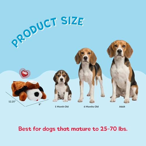 Snuggle Puppy Heartbeat Dog Toy for Puppies, Real-Feel Heartbeat, Calming Sleep Aid and Crate Training Comfort Toy with Heat Pack, Brown & White Beagle | Calming heartbeat toy, crate training comfort, heat pack, new puppy essentials, first nights, sleep,