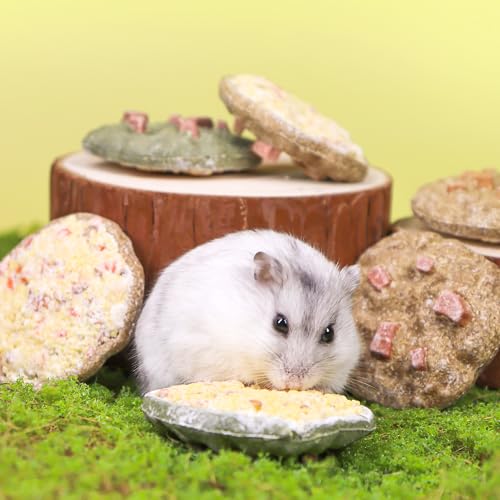 TEEWY Cookie Guinea Pig Toys, Natural Vegetables, Fruits and Timothy, Hamster Chew Toys for Teeth, Hamster Chews for Guinea Pig, Gerbil, Chinchilla and Rat, 3PCS - style: 3PCS-Cookie