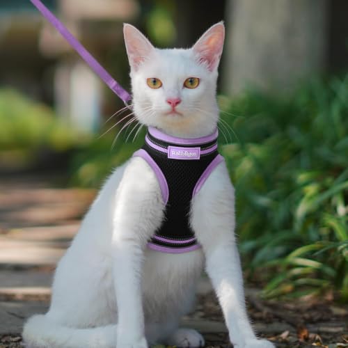 rabbitgoo Cat Harness and Leash Set, Step-in Soft Vest, Black-Light Purple | Escape Proof, Lightweight, Easy-on & Adjustable, Hook & Loop with Buckle, Reflective, for Kittens & Small Cats Walks, M - color: Black-Light Purple, size: M